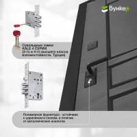 Входная дверь BN-04 с зеркалом (тонировка) ФЛЗ-1 Черный кварц